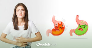 4 obat alami asam lambung