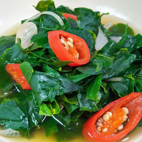 Sayur bening daun katuk