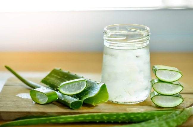 resep jus lidah buaya untuk kesehatan resep jus lidah buaya untuk kesehatan