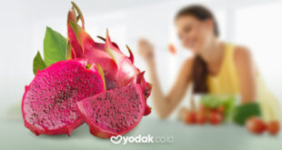 kandungan nutrisi dan manfaat buah naga merah