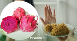 manfaat buah naga untuk diet