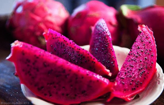 manfaat dan khasiat buah naga