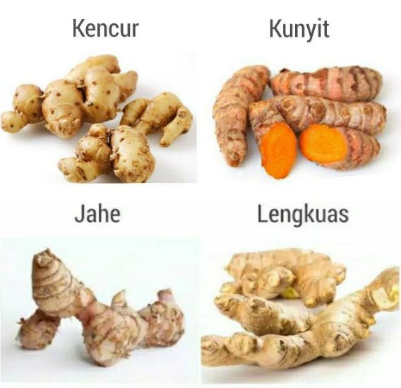 rempah rempah yang jadi obat herbal
