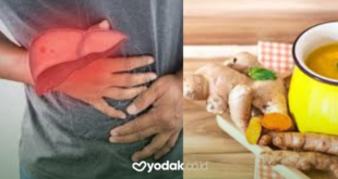 cara mengobati hepatitis b dengan temulawak