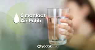 manfaat minum air putih